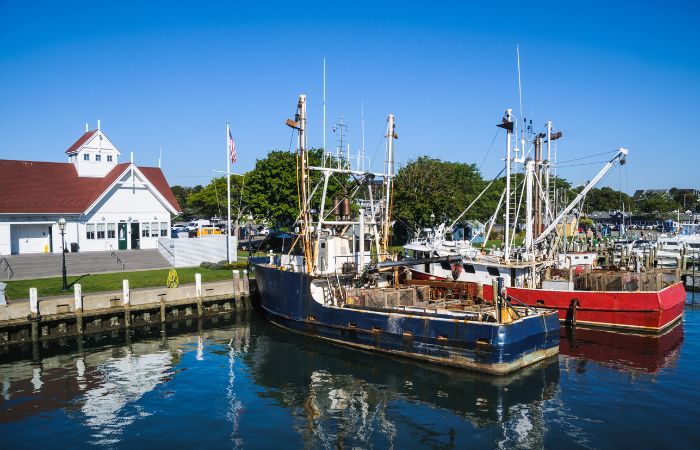 Untitled design (28)